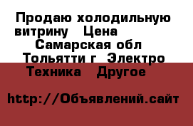 Продаю холодильную витрину › Цена ­ 28 000 - Самарская обл., Тольятти г. Электро-Техника » Другое   